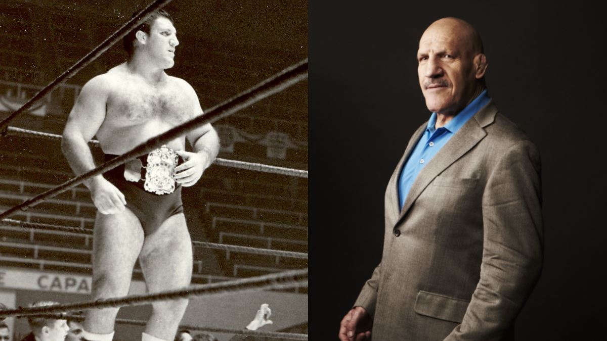 Without Toronto, there would have been no Bruno Sammartino