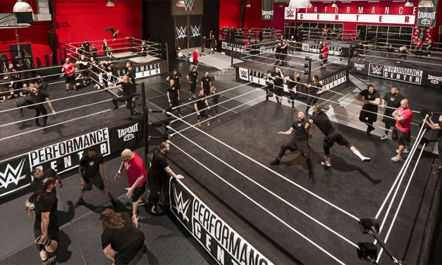 New batch of WWE recruits features familiar names