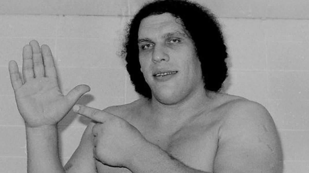 Andre the Giant story archive