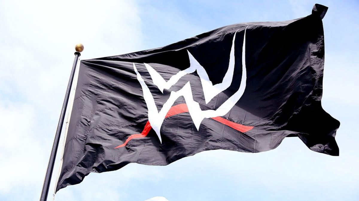 WWE exec fired