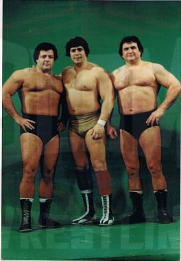 Gino Brito Sr., Dino Bravo, and Tony Parisi in Montreal for International Wrestling.