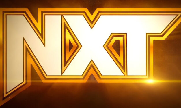 NXT: Rollercoaster year ends in trough