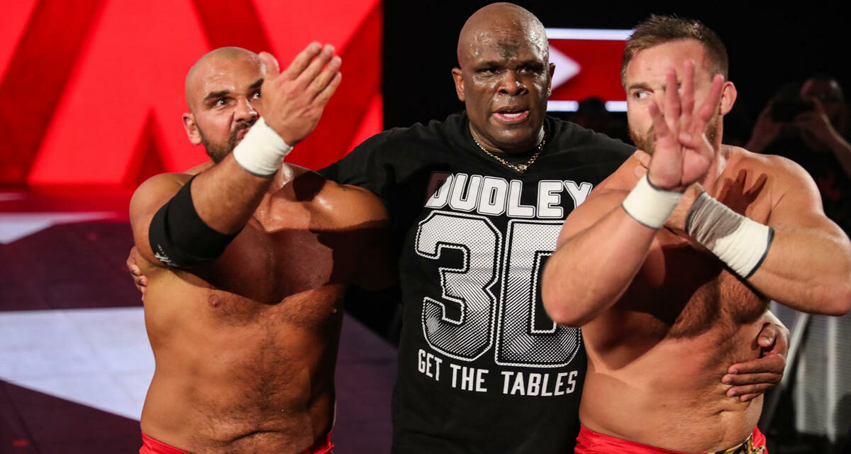 D-Von Dudley leaves WWE