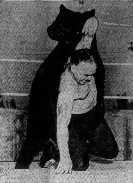 Pat Malone grapples the second Ginger the bear.