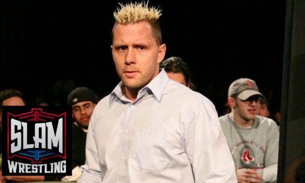 Nigel McGuinness story archive