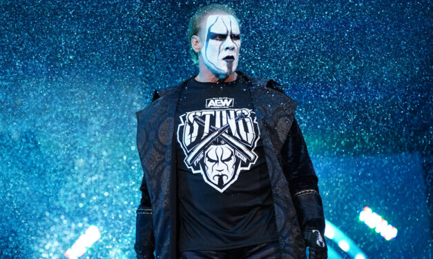 Sting’s career in pictures
