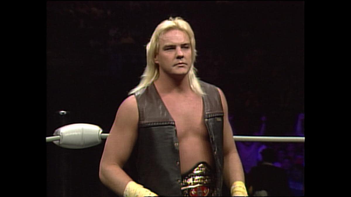 Barry Windham on TBS.