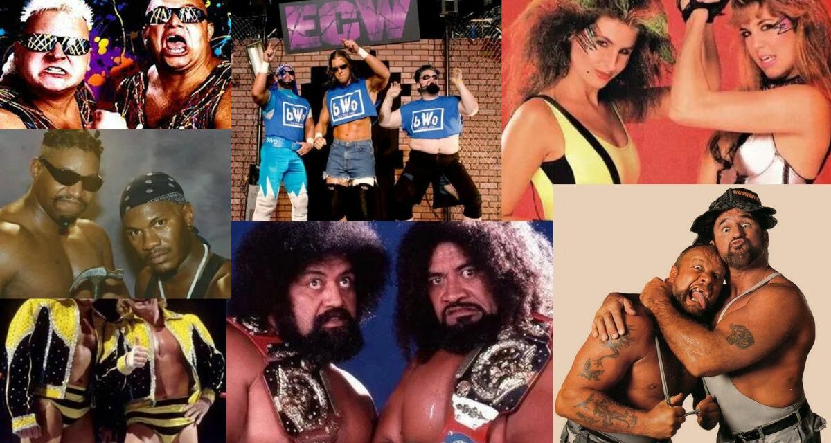 Inaugural Tag Team Hall of Fame class announced