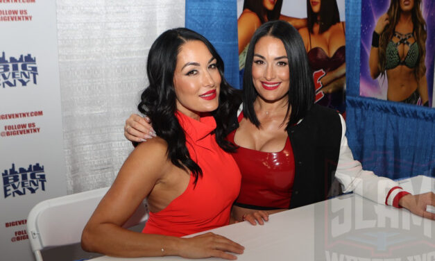 Report: Nikki Bella filing for divorce