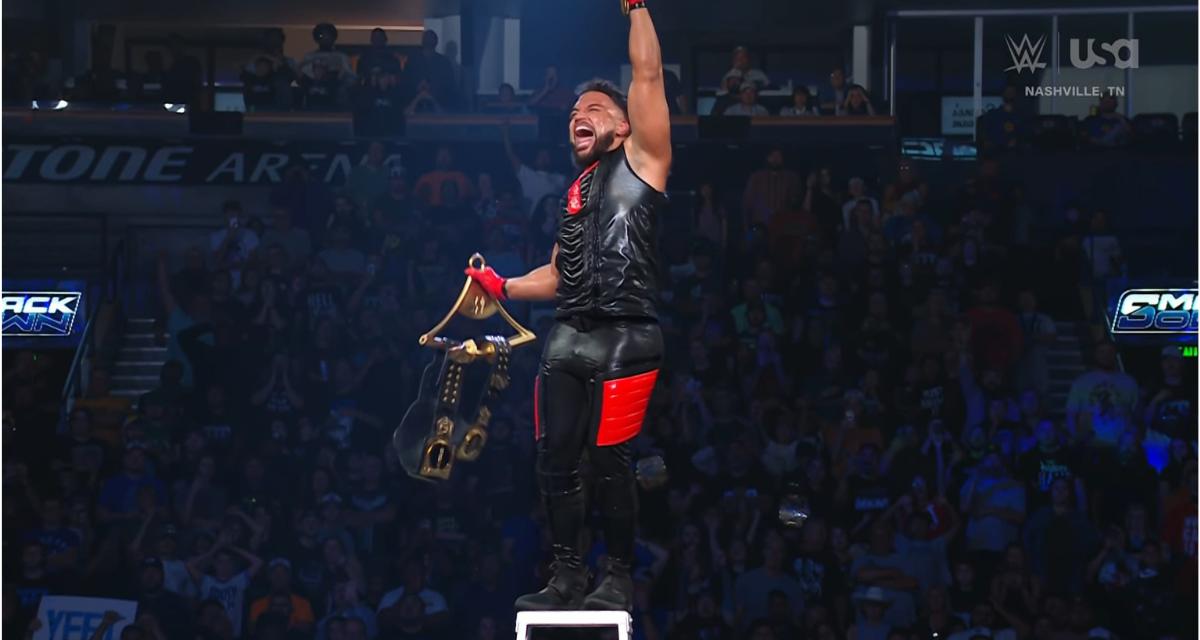 WWE Smackdown: A ladder too high