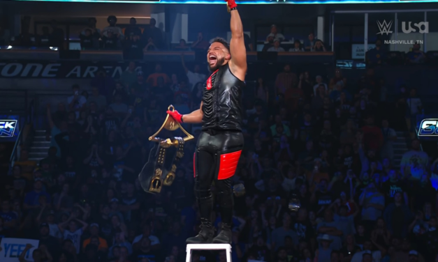 WWE Smackdown: A ladder too high